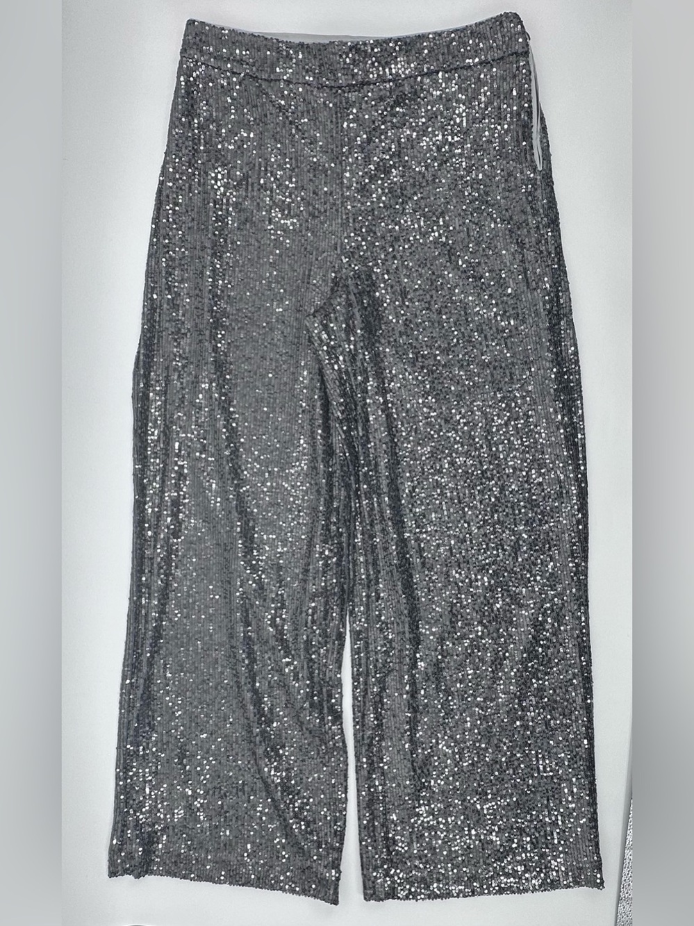 NWT LOFT Silver Sequin Wide-Leg Trousers - Women’s
